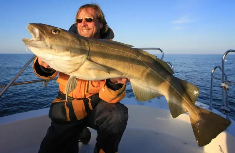 Idealny czas smażenia filetu z dorsza – jak nie przesadzić?