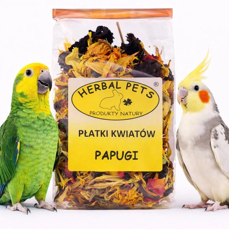 Wprowadzanie nowych pokarmów u papug