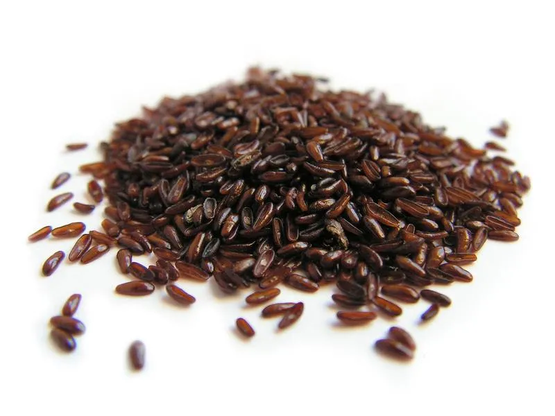 Zamienniki łusek babki płesznik