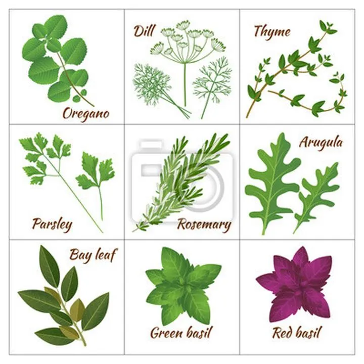 Zdrowotne aspekty zamienników soli